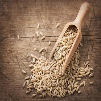 Rolled Oats ,Oats Flakes, Oats Flour Hulled Oats