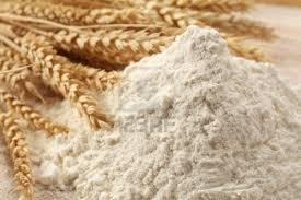 Wheat Flour for Sale