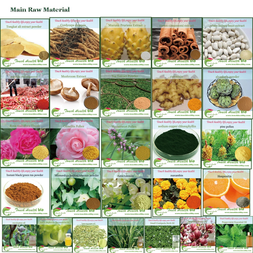Organic Wheat Germ Powder wheat grass juice powder