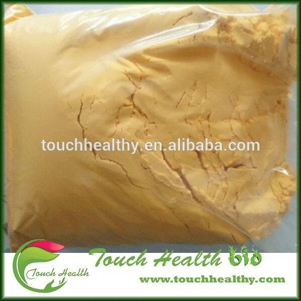 Touchhealthy Natural Strong Cheddar Cheese Powder For Bechamel Dosage 02 6china Price 8328