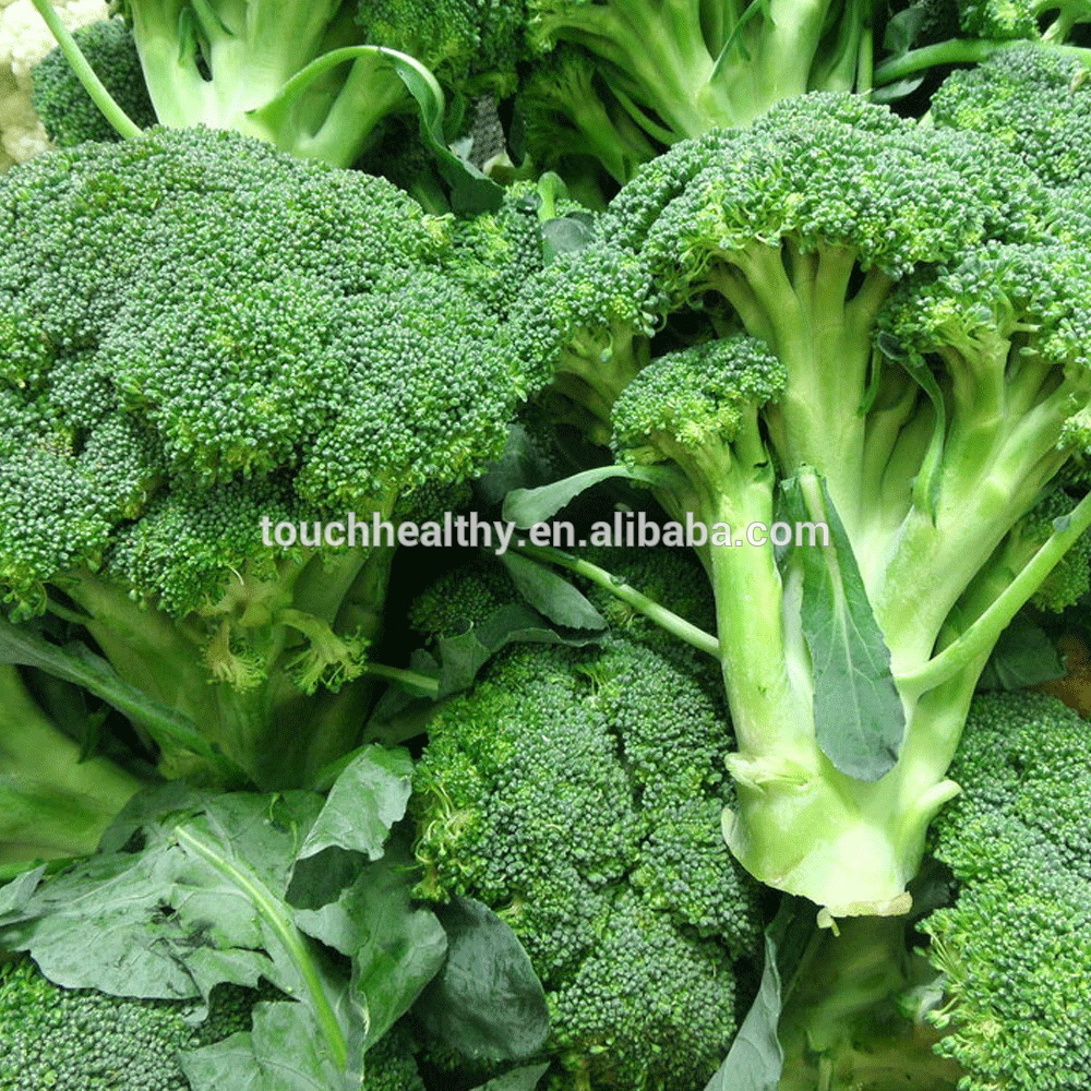 supply F1 Hybrid Green Comet Broccoli Seeds For Sale,China price