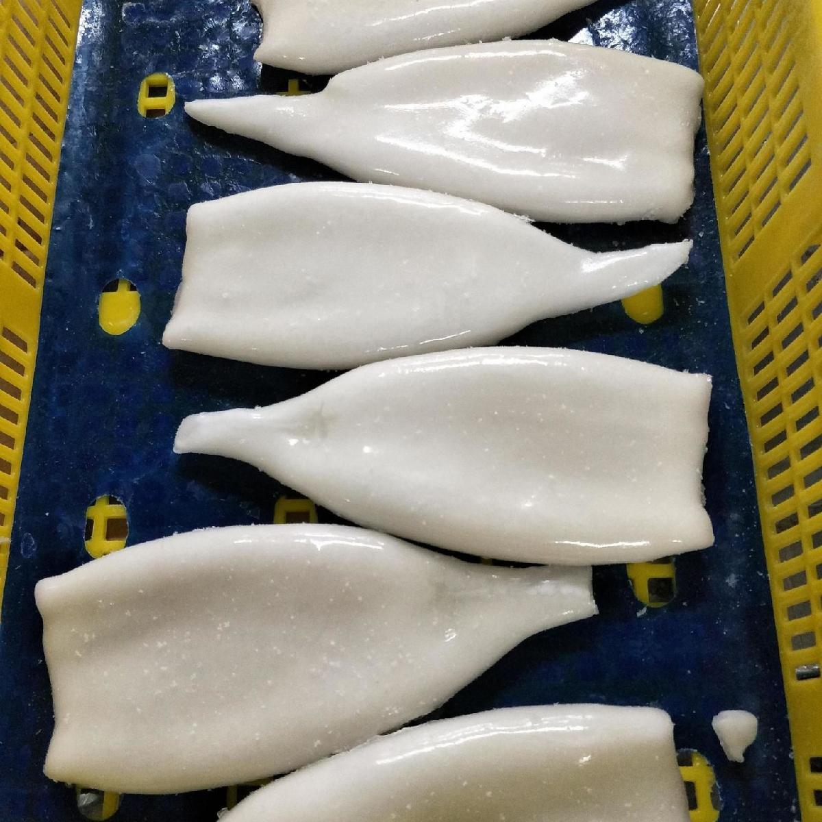 High quality pacific frozen whole squid,Thailand price supplier - 21food