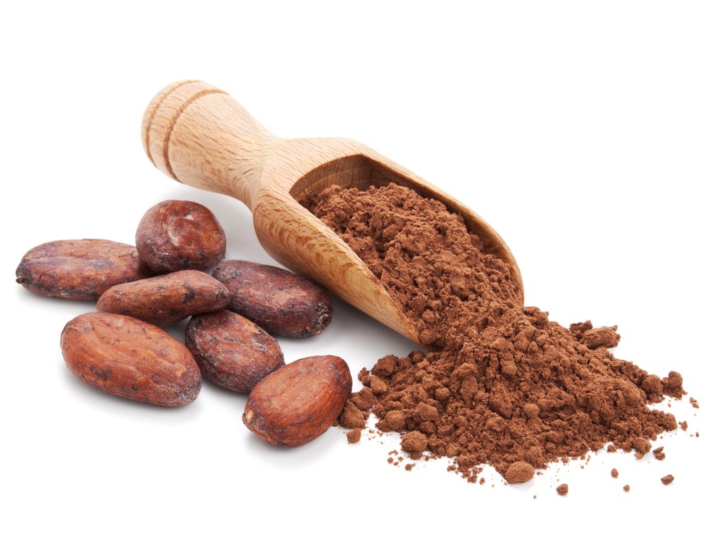 Food Grade Cocoa Extract Powder Theobromine Cocoa Bean Extract
