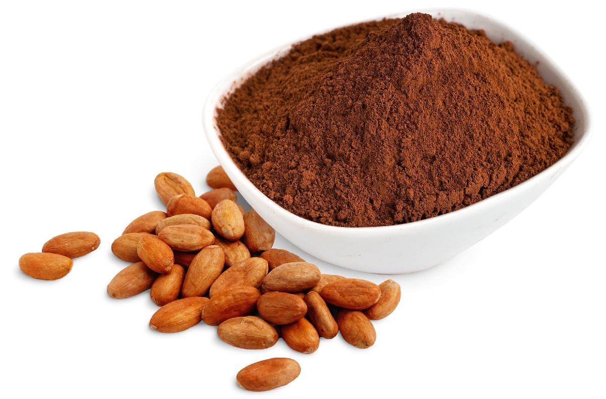 Food Grade Cocoa Extract Powder Theobromine Cocoa Bean Extract