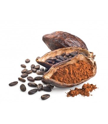 Food Grade Cocoa Extract Powder Theobromine Cocoa Bean Extract
