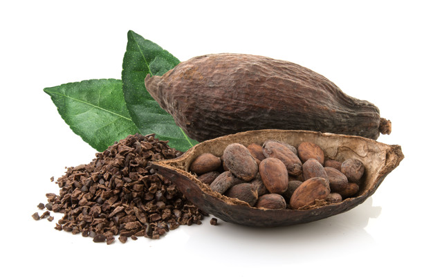 Food Grade Cocoa Extract Powder Theobromine Cocoa Bean Extract