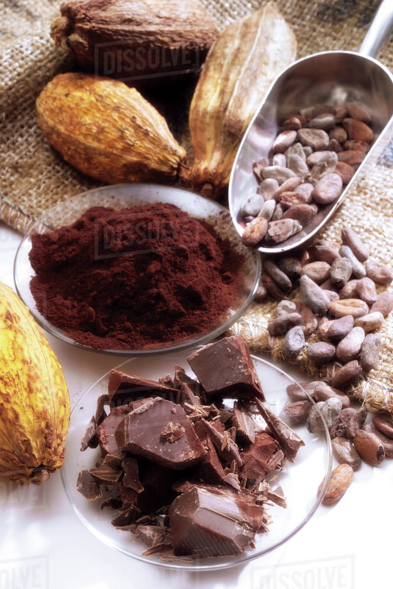 Food Grade Cocoa Extract Powder Theobromine Cocoa Bean Extract