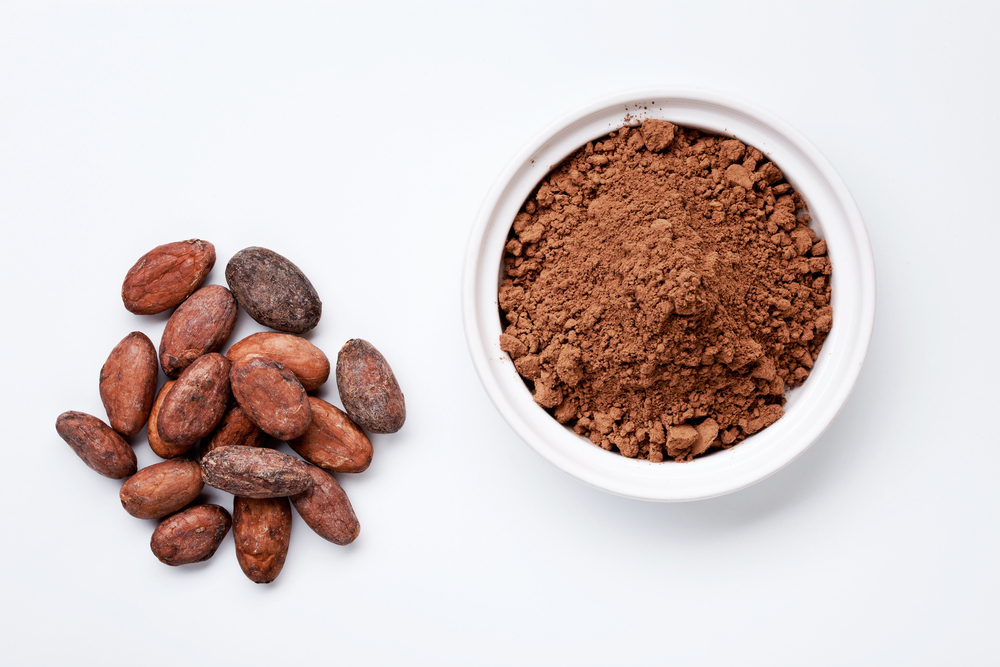 Pure Cocoa Extract Cocoa Powder/ Bulk High Quality Natural 10-12%