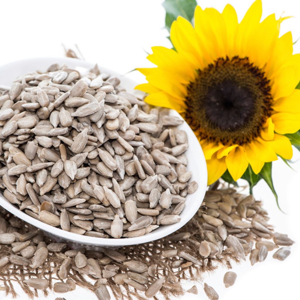 Sunflower Husk Pellets/ Sunflower Meal