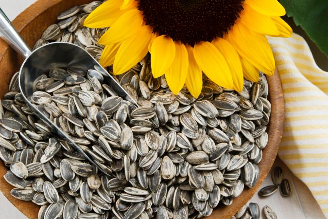 Sunflower Husk Pellets/ Sunflower Meal