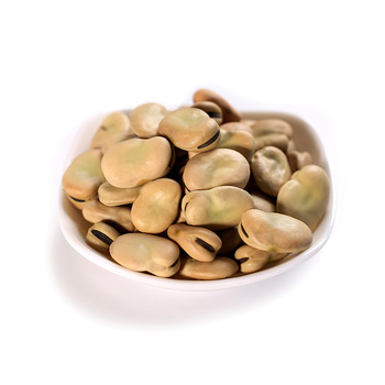 Iqf Fresh Frozen Fava Peeled Broad Bean