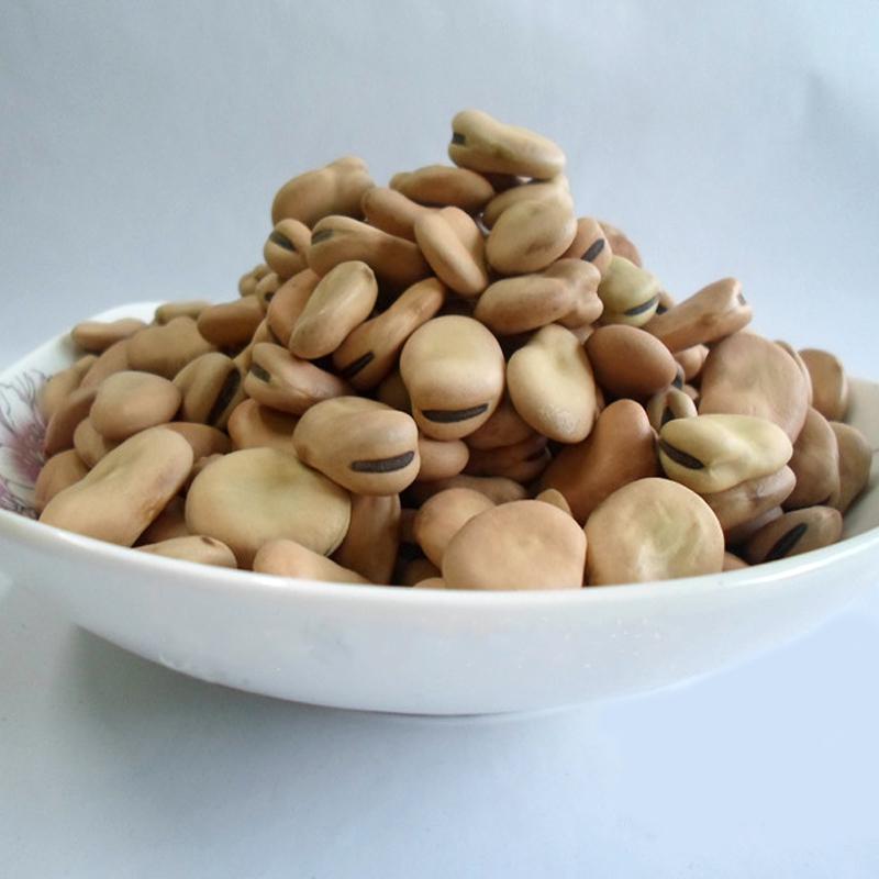 Iqf Fresh Frozen Fava Peeled Broad Bean