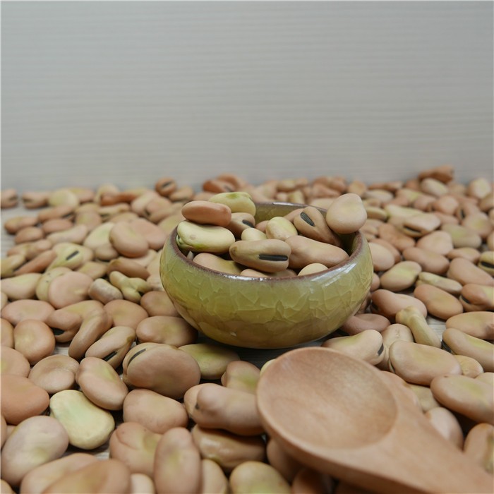 Iqf Fresh Frozen Fava Peeled Broad Bean