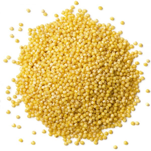 Foxtail Millet | Indian Foxtail Millet | Organic Foxtail Millet Seed