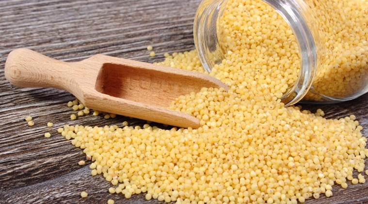Foxtail Millet | Indian Foxtail Millet | Organic Foxtail Millet Seed
