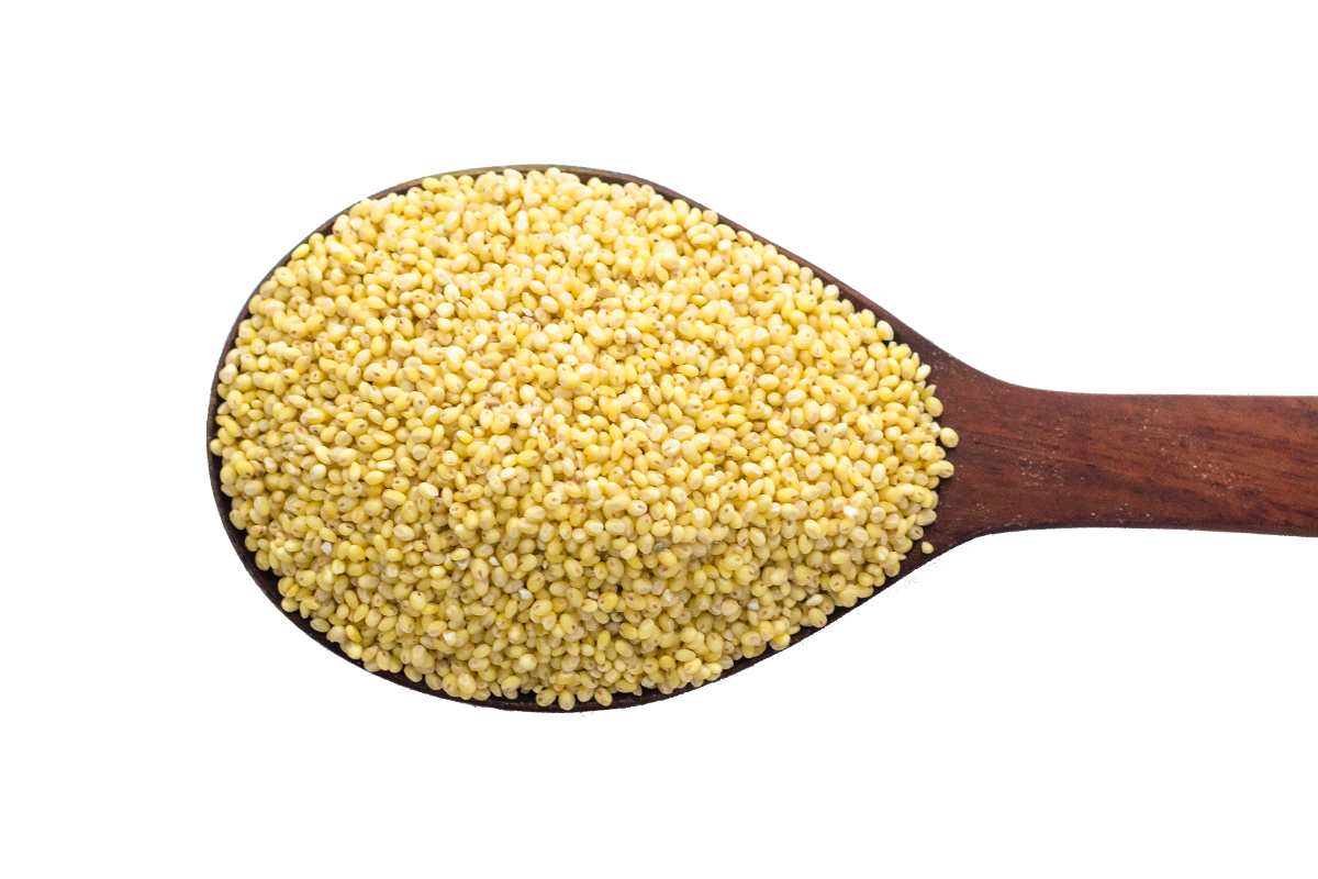 Foxtail Millet | Indian Foxtail Millet | Organic Foxtail Millet Seed