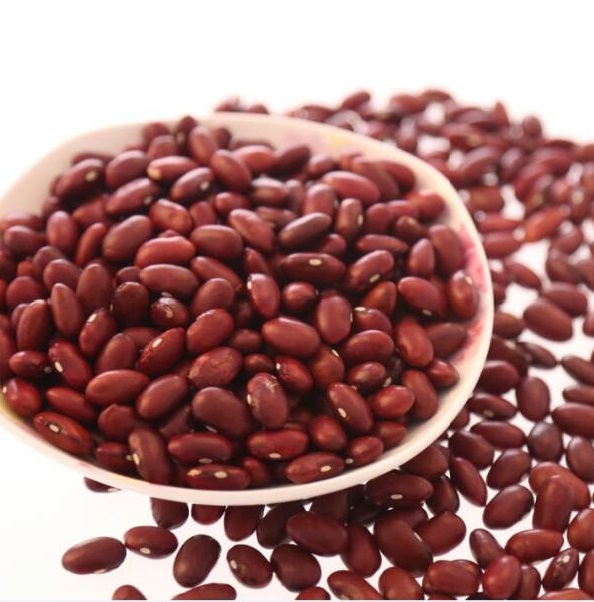 long shape DRKB/RAJMA/Dark Red Kidney Beans
