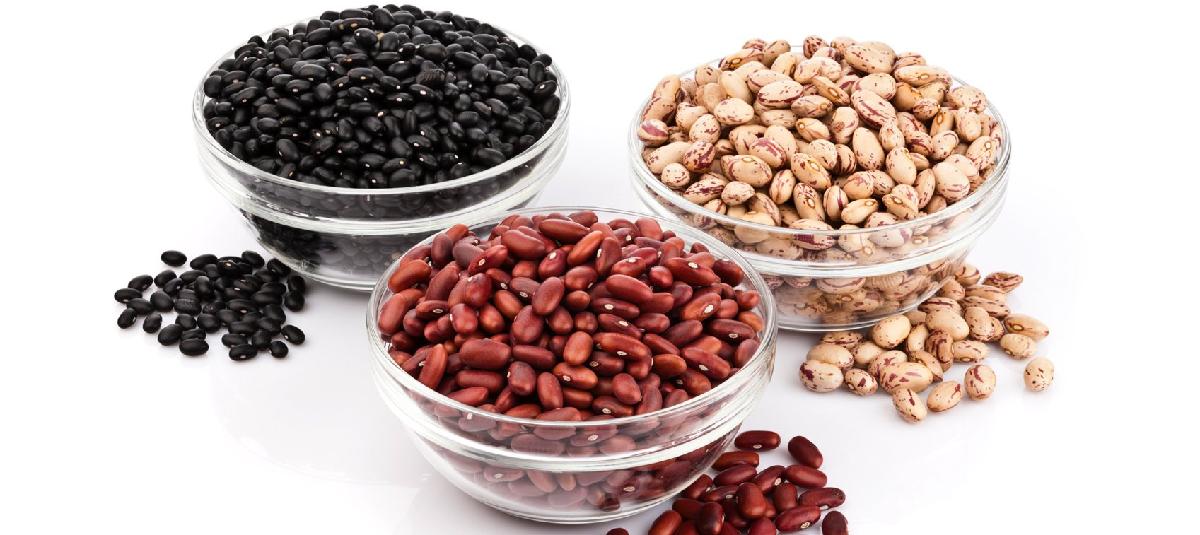 Polished Organic Non-GMO Dark Red Kidney Beans