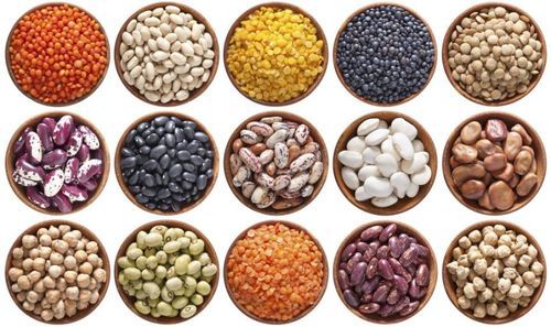 Polished Organic Non-GMO Dark Red Kidney Beans