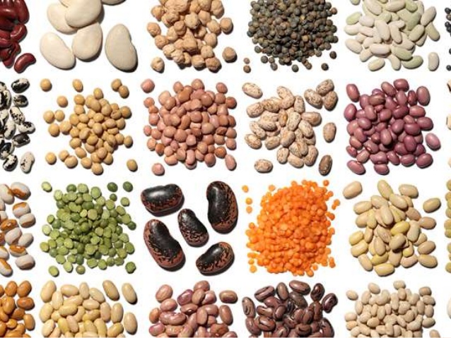 Polished Organic Non-GMO Dark Red Kidney Beans