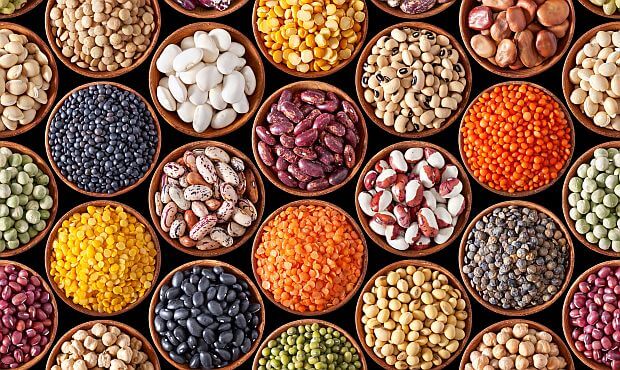Polished Organic Non-GMO Dark Red Kidney Beans