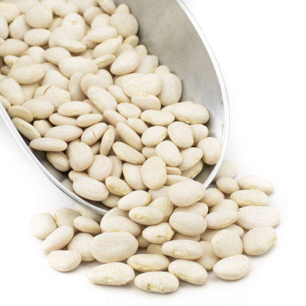 Bulk Lima Beans Big Size White Kidney Bean for Sale