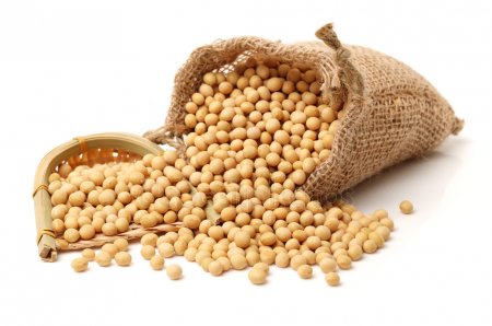 Certified Soybeans +Non gmo yellow soybean + Organic soya bean seed