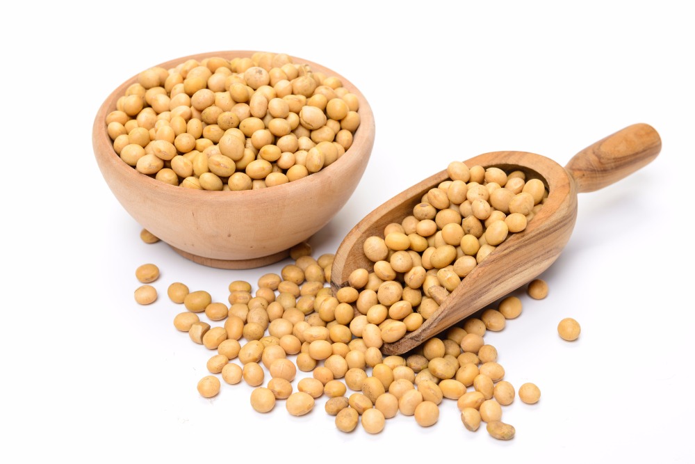 NON GMO Soybean Available for Cheap Price / High Quality Soybean/Soya Bean - Soybean Seeds