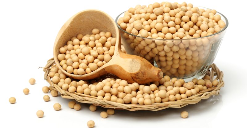 NON GMO Soybean Available for Cheap Price / High Quality Soybean/Soya Bean - Soybean Seeds