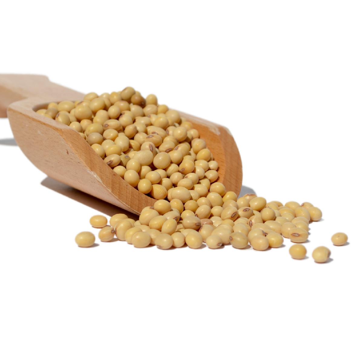 GMO Soybean SBDM For Making Animal Feed