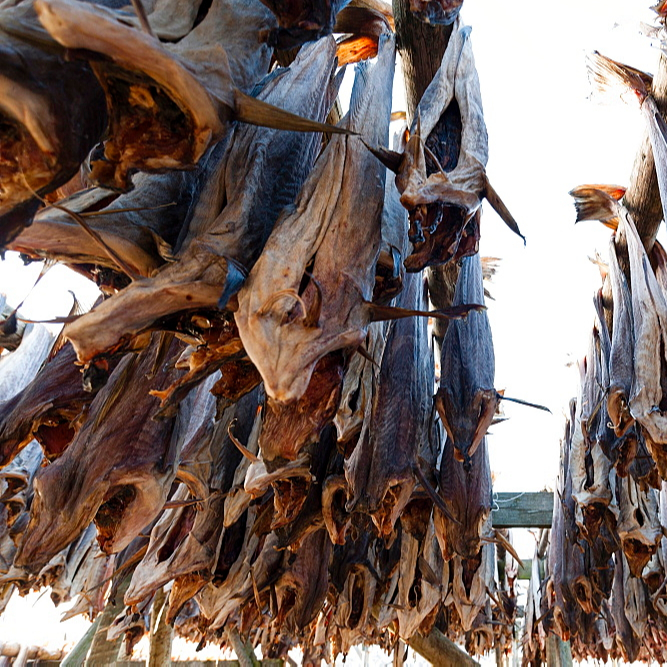 Norwegian stock fish - dried Cod — Bon Food