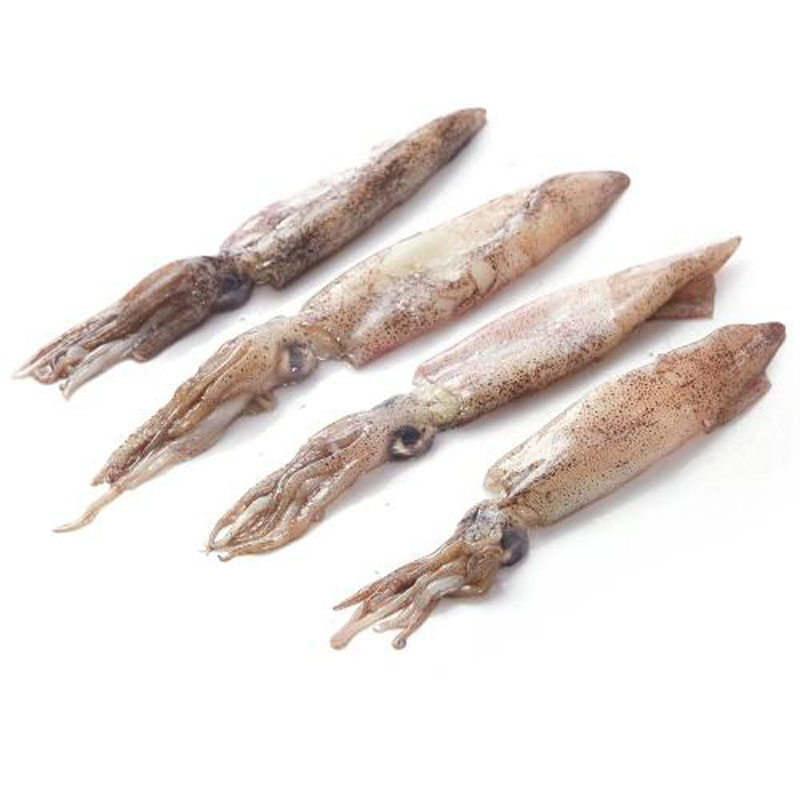 Competitive price Frozen Whole Round Baby Squid for sale,Thailand price