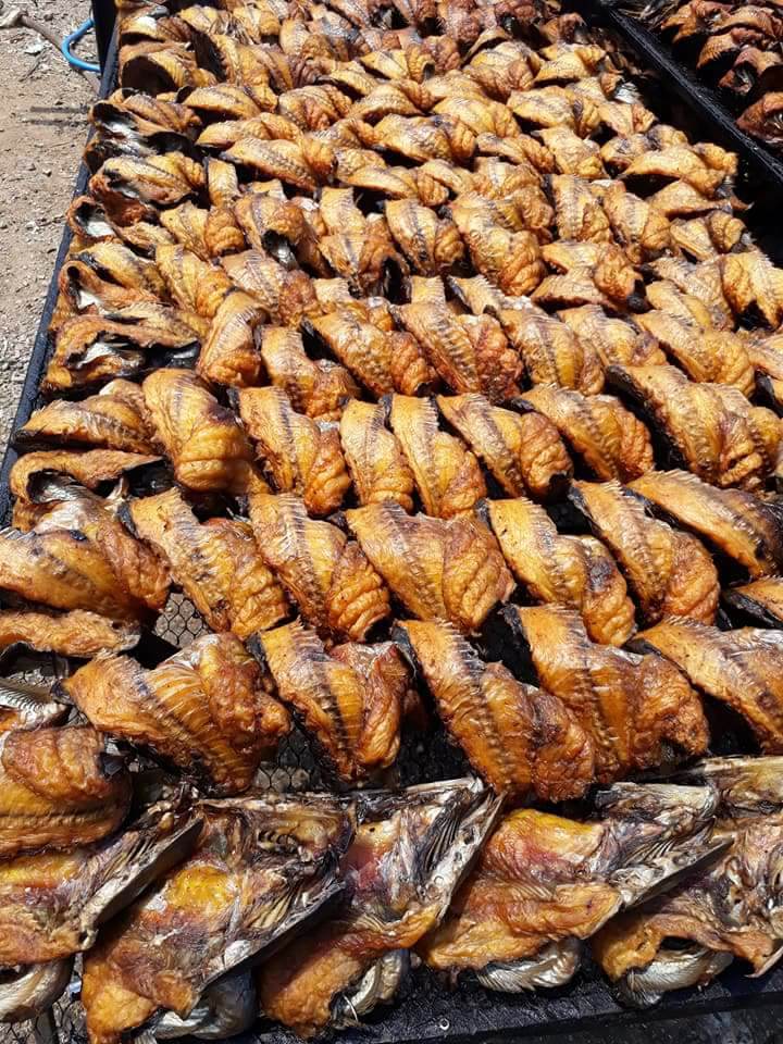 fish, stockfish, dried fish. smoked fish