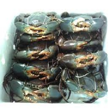 crabs seafoods