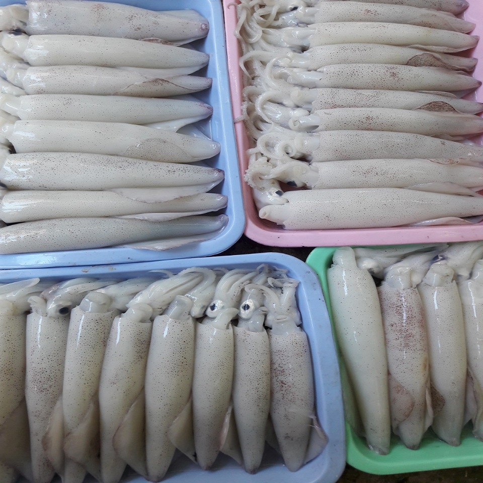 Sea Food Frozen Squid,Thailand price supplier - 21food