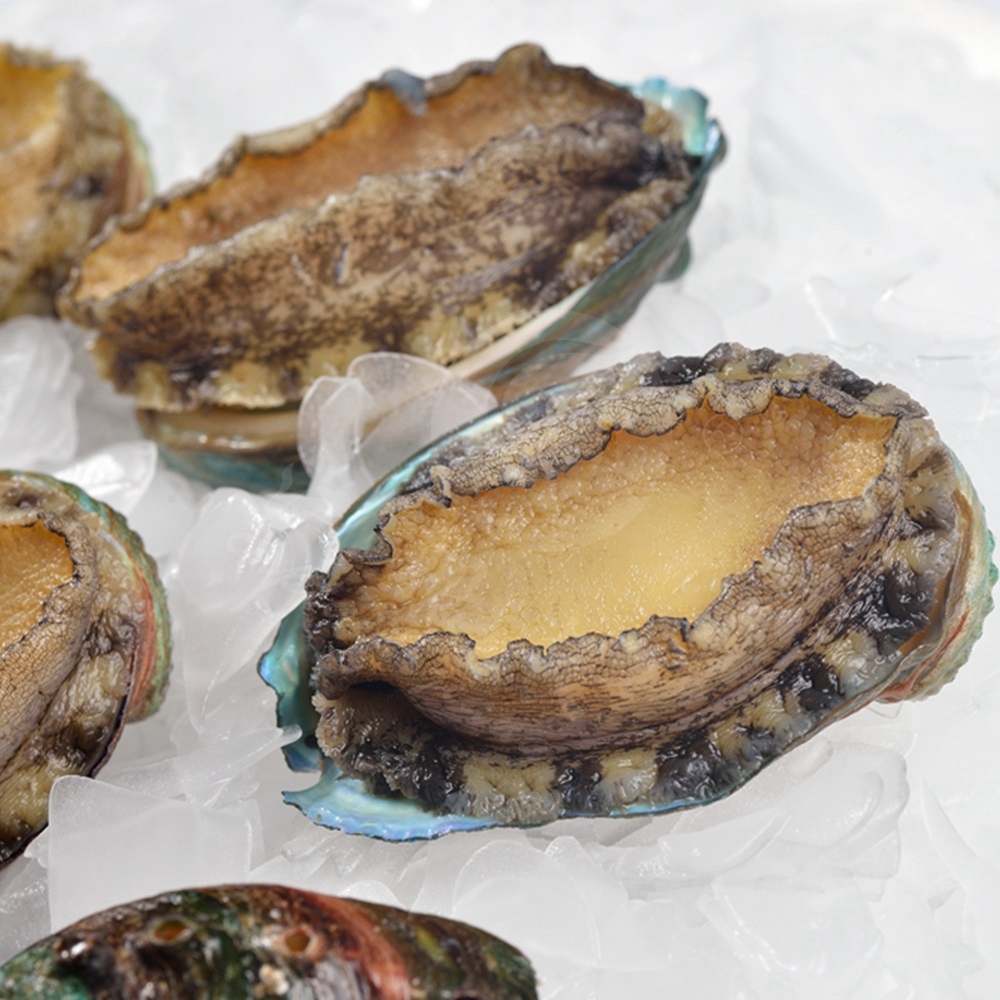 GUTTING FROZEN ABALONE /DRIED ABALONE,Thailand price supplier 21food