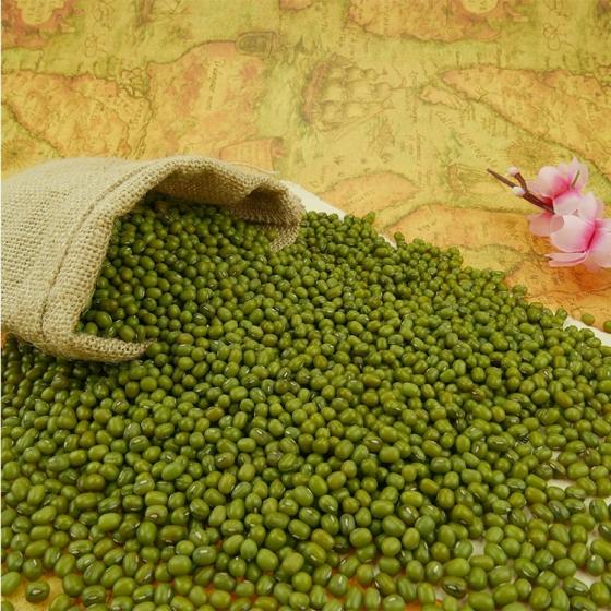 HIGH QUALITY VIETNAM DRIED GREEN MUNG BEANS FOR SALE,Thailand price ...