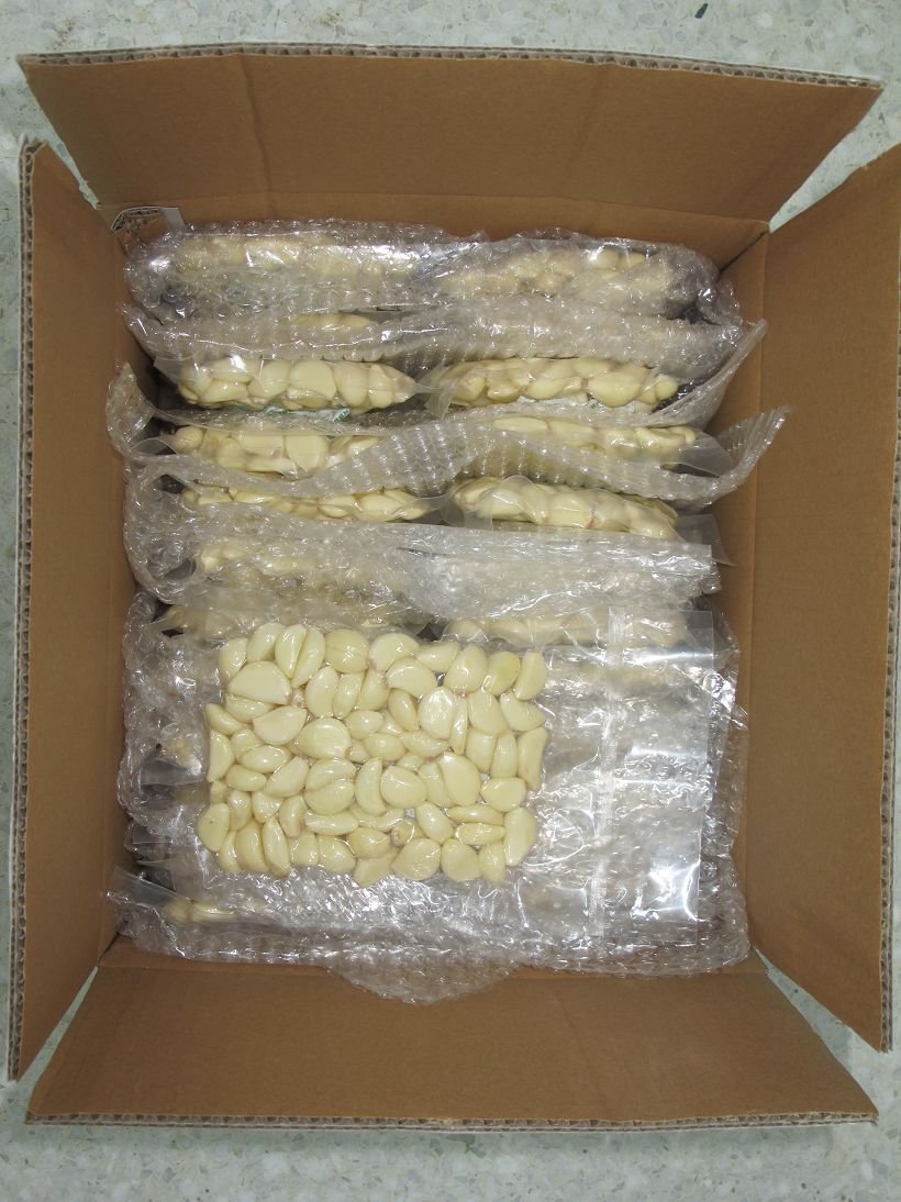 New Crop Peeled garlic fresh garlic price