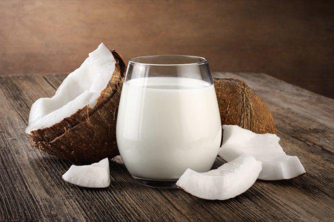 Bulk price Coconut Milk Juice Powder