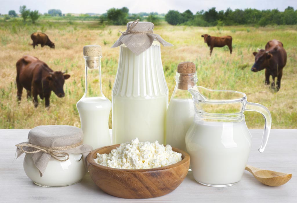 Milk Powder, Goat Milk Powder, Natural Sheep Milk