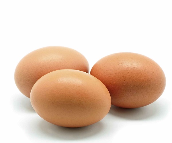 Fresh halal chicken table eggs for sale cheap price