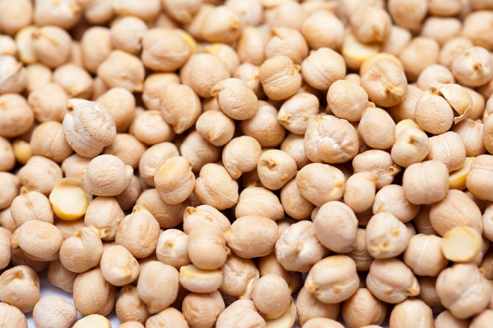 GRADE AAA Kabuli chickpeas, garbanzo bean, pois chiche, chick peas 9mm ...