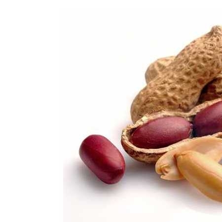 Raw Peanut in Shell/Dry Raw Peanuts Kernel for sale,Thailand price ...