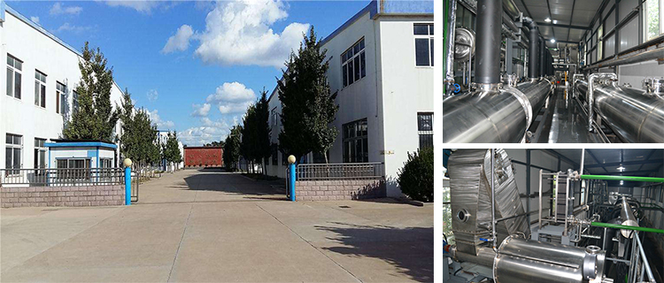 Best price china factory supply Lyophilized strawberry freeze dried fruit diet from strawberry fruit