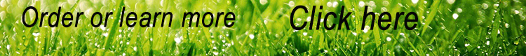 Factory supply wholesale egg white protein albumen powder organic low price egg white powder