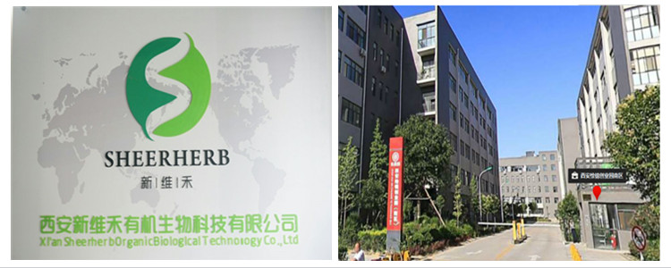 Factory supply wholesale egg white protein albumen powder organic low price egg white powder