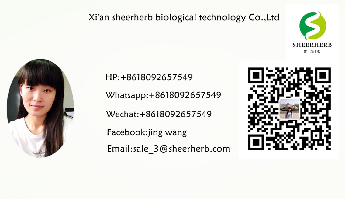 Factory supply wholesale egg white protein albumen powder organic low price egg white powder