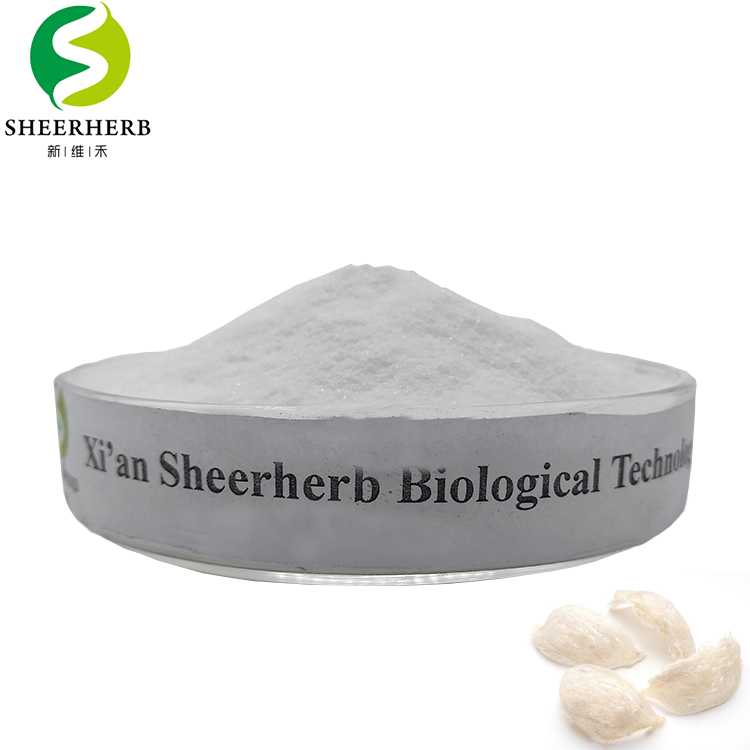 Buy acetyl bird nest sialic acid powder,China price supplier - 21food