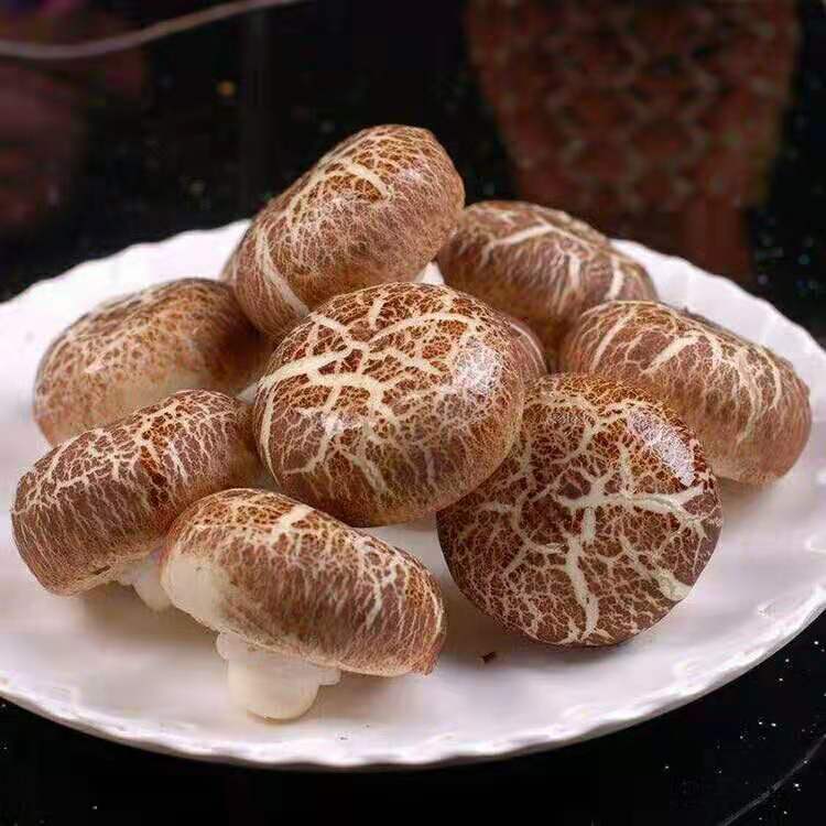 Wholesale instant Frozen steamed bun buffet bun utritious frozen nugget  Chinese burger food bun bread Vegetarian stuffed buns