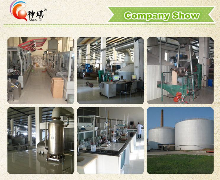Good quality high sugar or low sugar active Instant bakery Dry Yeast